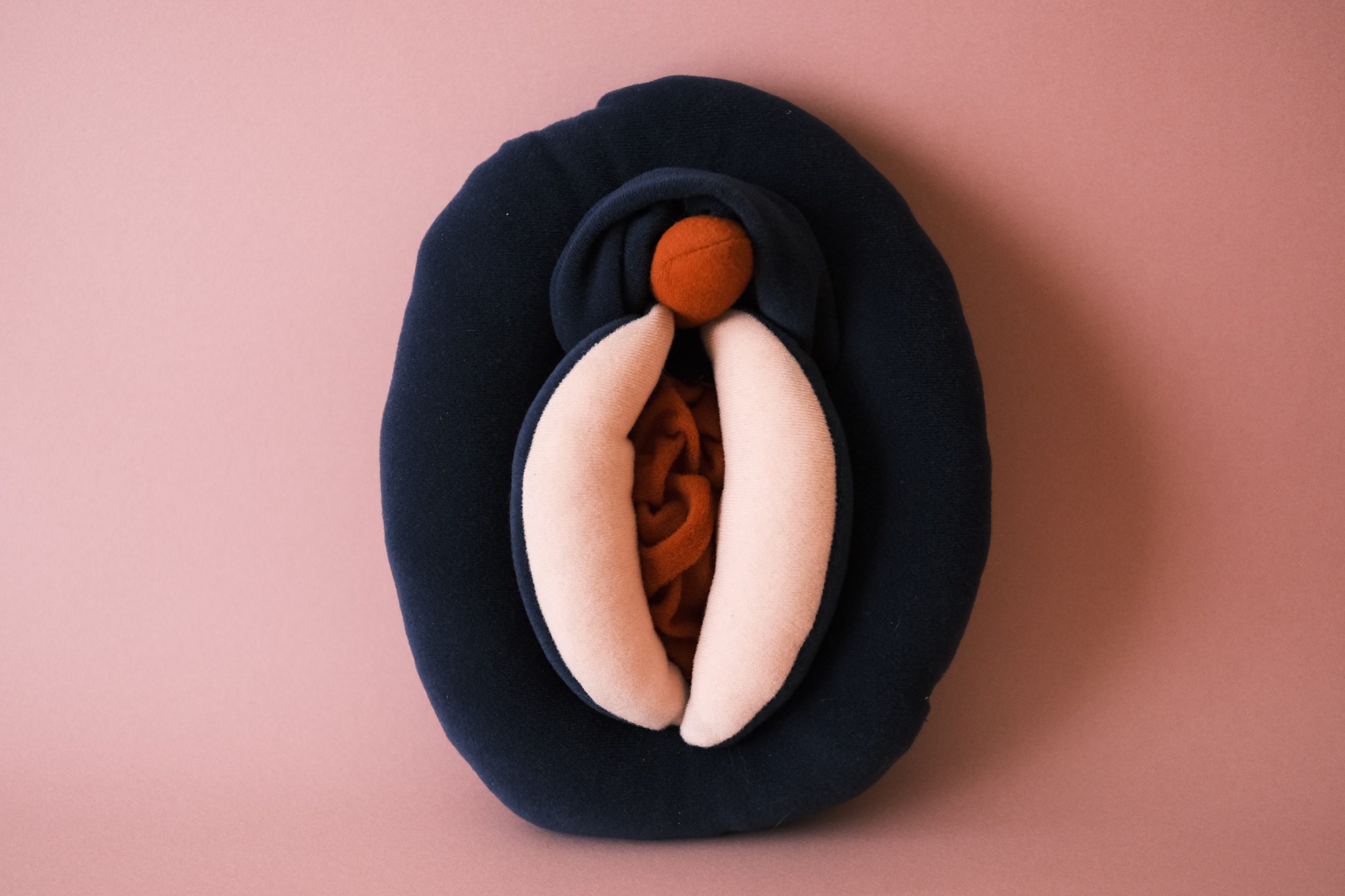 VULVA 