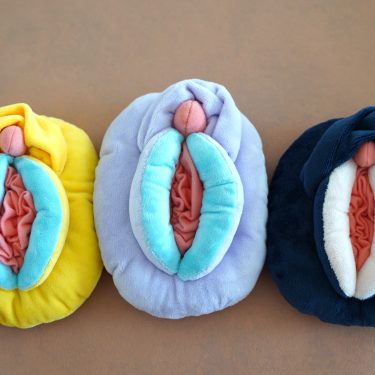 Ba-Vulva ばあばるば 性教育パペットMINI
